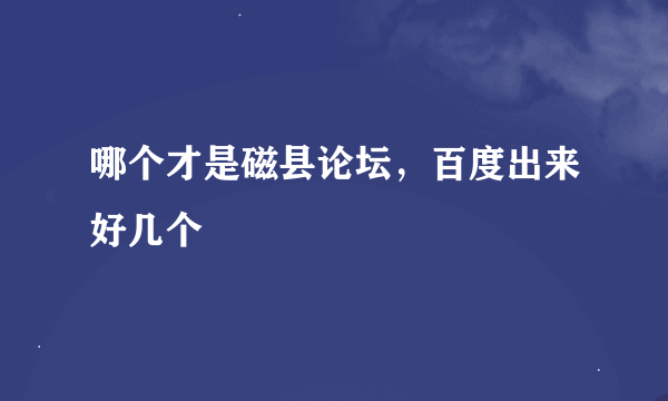 哪个才是磁县论坛，百度出来好几个