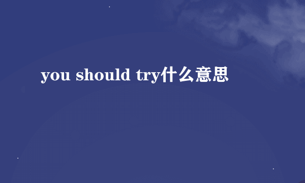 you should try什么意思