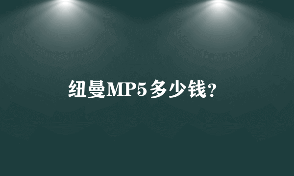 纽曼MP5多少钱？