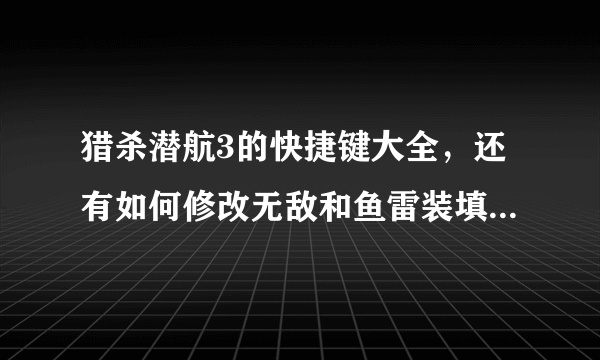 猎杀潜航3的快捷键大全，还有如何修改无敌和鱼雷装填速度？？谢谢各位大侠帮忙