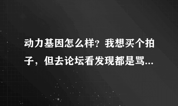 动力基因怎么样？我想买个拍子，但去论坛看发现都是骂人的和被管理员和谐的。管理员和谐手段好厉害的说...