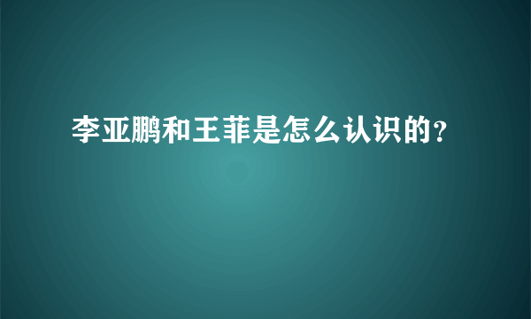 李亚鹏和王菲是怎么认识的？