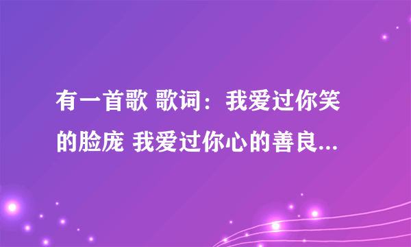 有一首歌 歌词：我爱过你笑的脸庞 我爱过你心的善良 这些年有你的时光 把我的孤独都照亮 歌名是什么