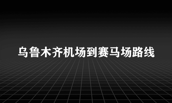 乌鲁木齐机场到赛马场路线