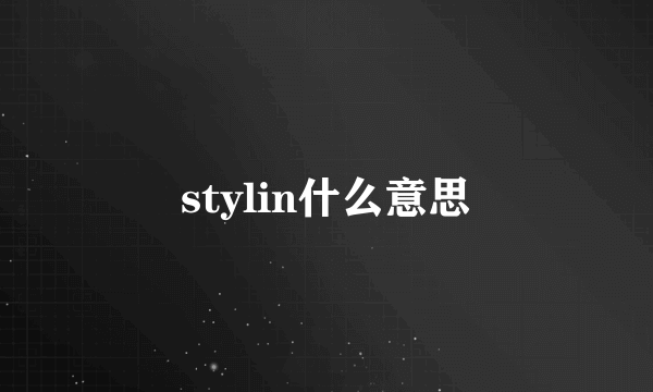 stylin什么意思