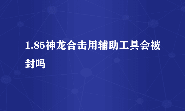 1.85神龙合击用辅助工具会被封吗