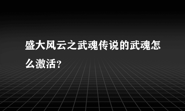 盛大风云之武魂传说的武魂怎么激活？