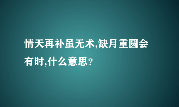 情天再补虽无术,缺月重圆会有时,什么意思？