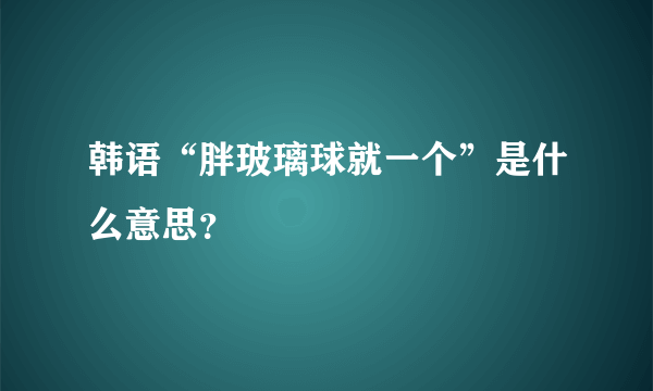 韩语“胖玻璃球就一个”是什么意思？