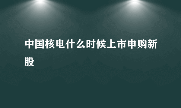 中国核电什么时候上市申购新股