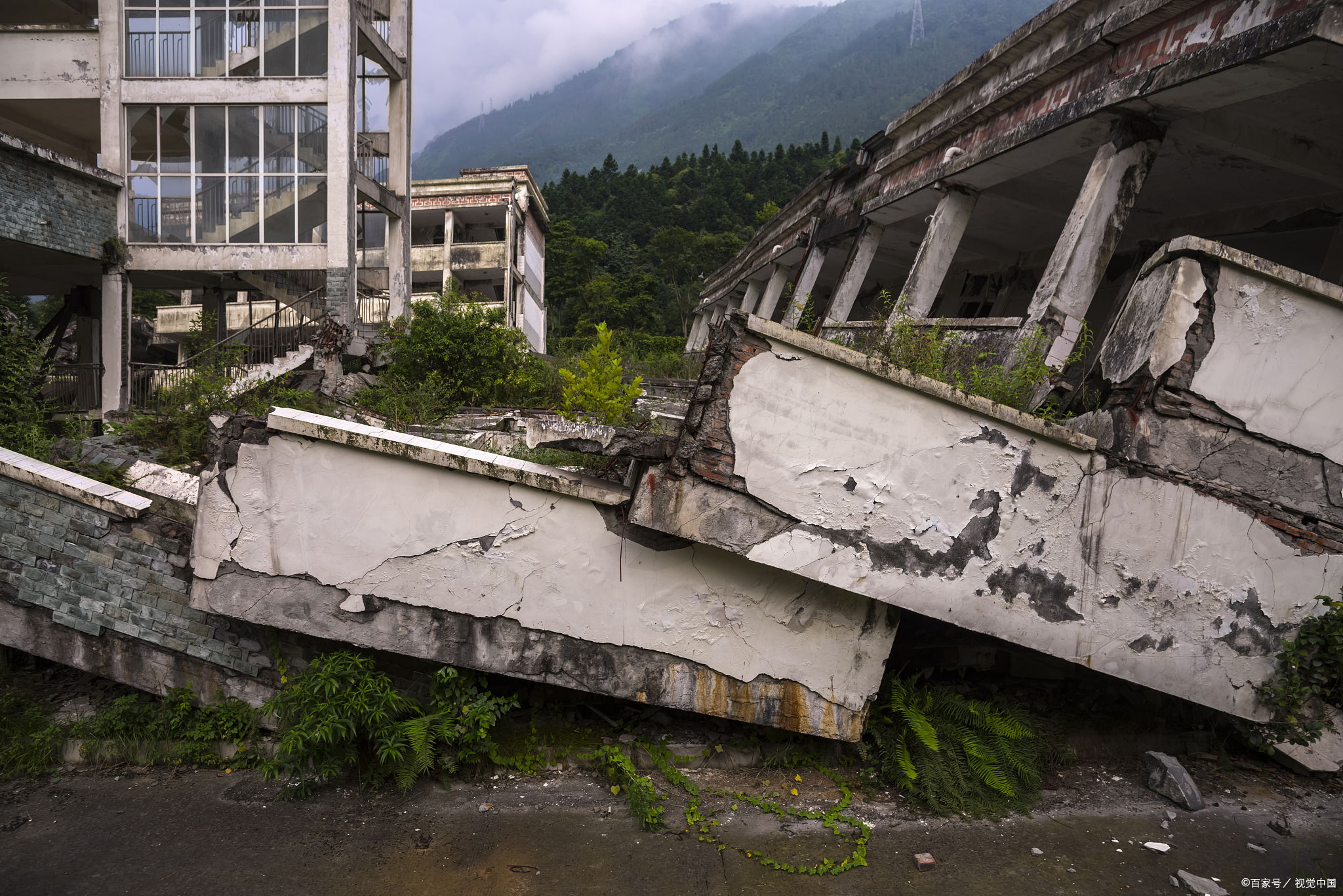 四川泸州地震导致多少人死亡？损失有多大？