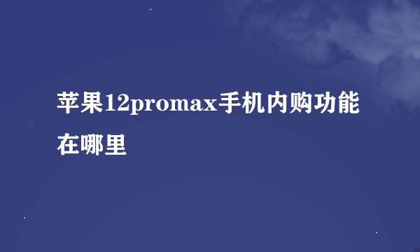 苹果12promax手机内购功能在哪里