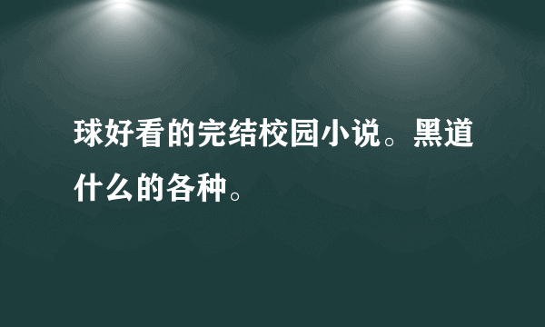 球好看的完结校园小说。黑道什么的各种。