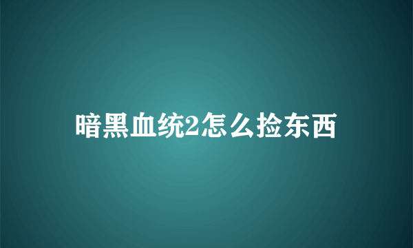 暗黑血统2怎么捡东西