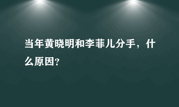 当年黄晓明和李菲儿分手，什么原因？