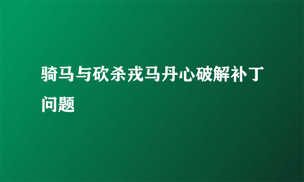 骑马与砍杀戎马丹心破解补丁问题