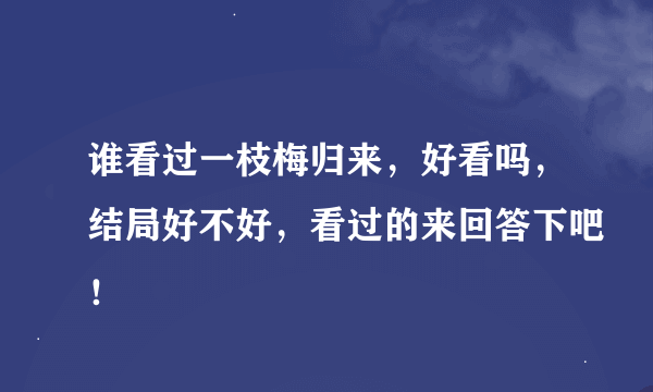 谁看过一枝梅归来，好看吗，结局好不好，看过的来回答下吧！