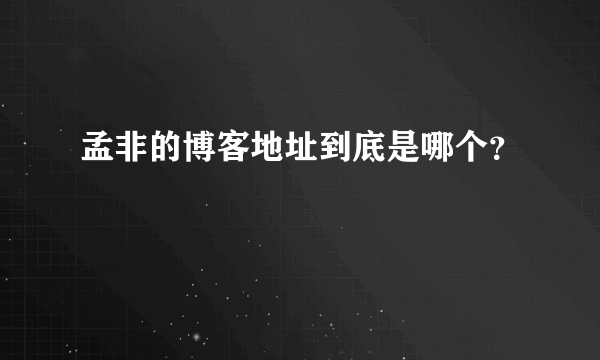 孟非的博客地址到底是哪个？