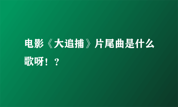 电影《大追捕》片尾曲是什么歌呀！？