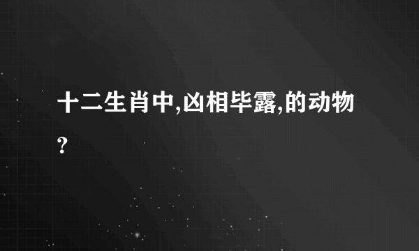 十二生肖中,凶相毕露,的动物？