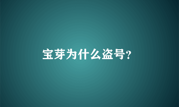 宝芽为什么盗号？