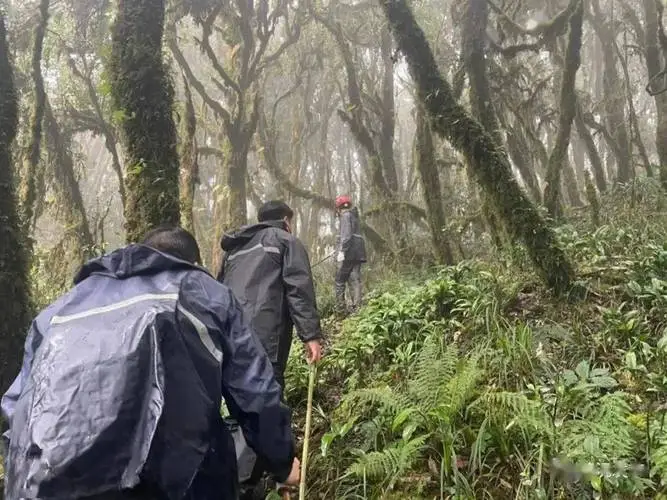 在哀牢山遇难的地质人员进山为何穿一次性雨衣？