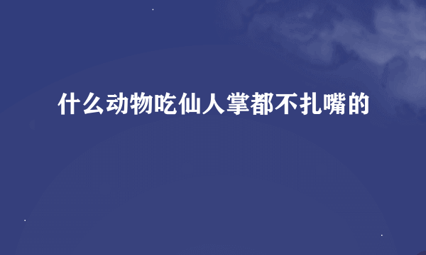 什么动物吃仙人掌都不扎嘴的