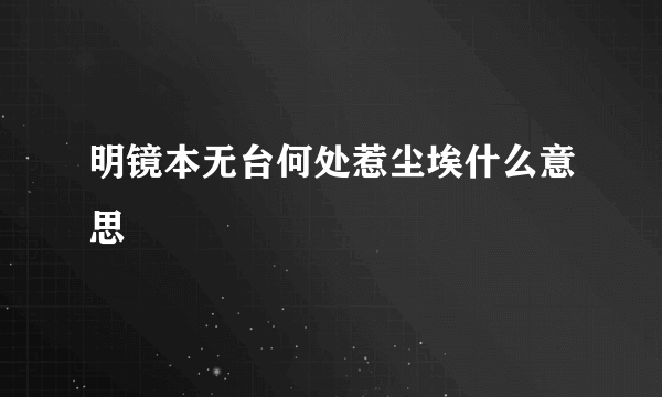 明镜本无台何处惹尘埃什么意思