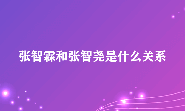 张智霖和张智尧是什么关系