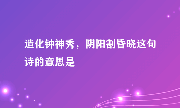 造化钟神秀，阴阳割昏晓这句诗的意思是