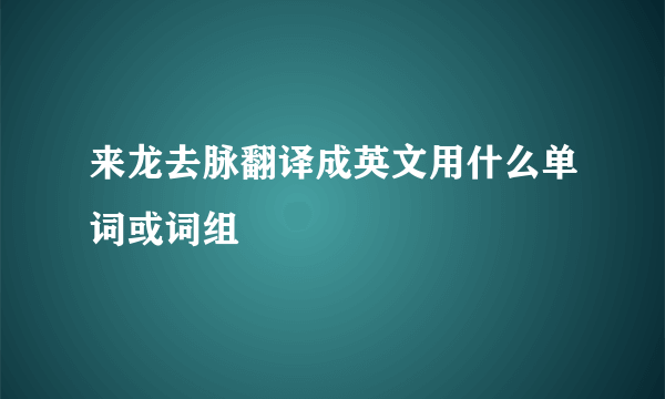 来龙去脉翻译成英文用什么单词或词组