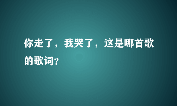 你走了，我哭了，这是哪首歌的歌词？