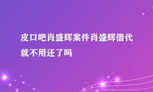 皮口吧肖盛辉案件肖盛辉借代就不用还了吗