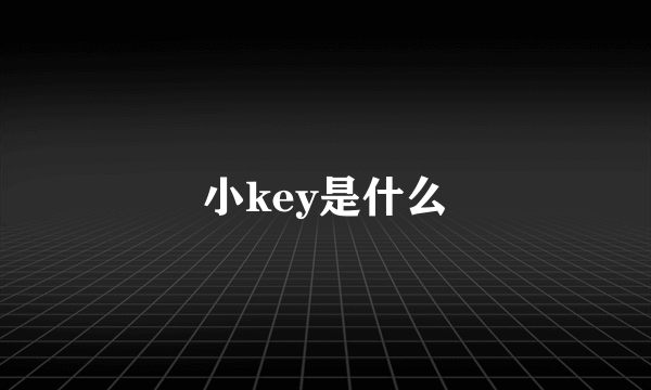 小key是什么