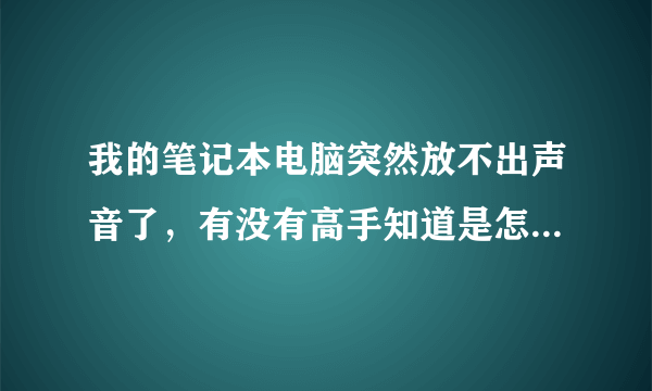 我的笔记本电脑突然放不出声音了，有没有高手知道是怎么回事，求解决办法