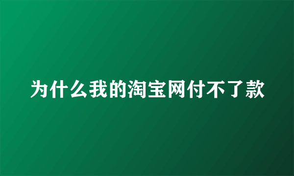 为什么我的淘宝网付不了款