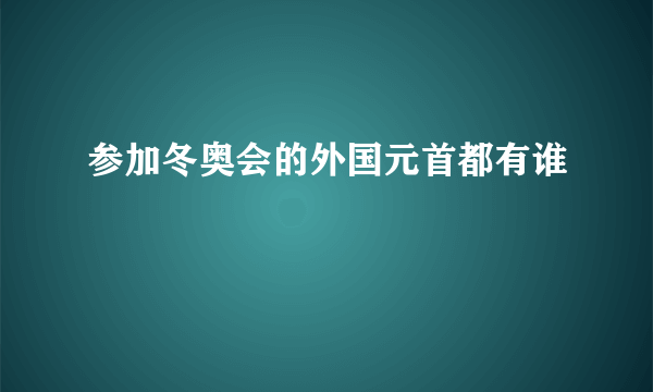 参加冬奥会的外国元首都有谁