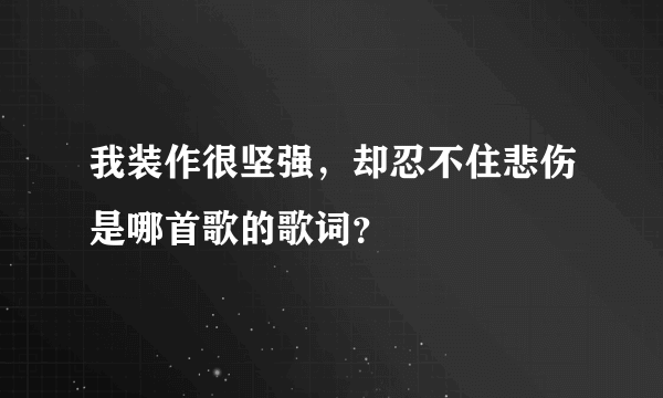 我装作很坚强，却忍不住悲伤是哪首歌的歌词？