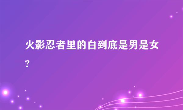 火影忍者里的白到底是男是女？