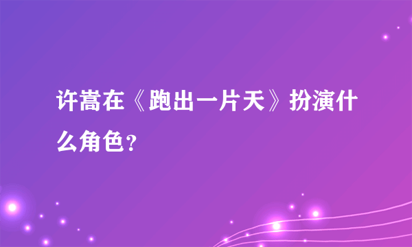 许嵩在《跑出一片天》扮演什么角色？