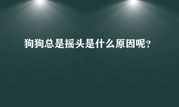 狗狗总是摇头是什么原因呢？