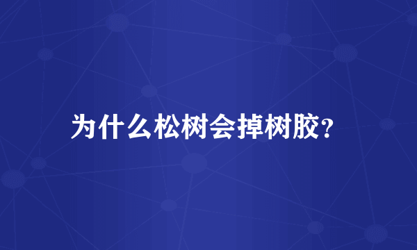 为什么松树会掉树胶？