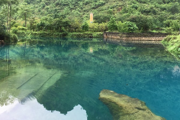 济南发现了五龙潭地下空间，并发现了大型未知生物，究竟是什么？