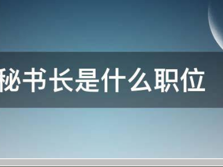 秘书长是什么职位?