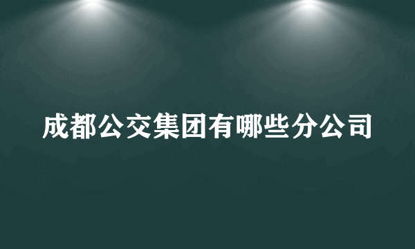 成都公交集团有哪些分公司