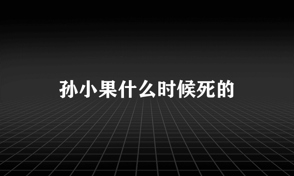 孙小果什么时候死的