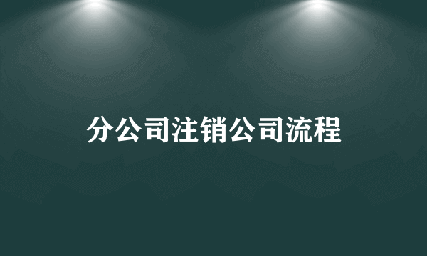 分公司注销公司流程