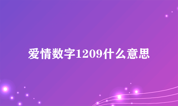 爱情数字1209什么意思