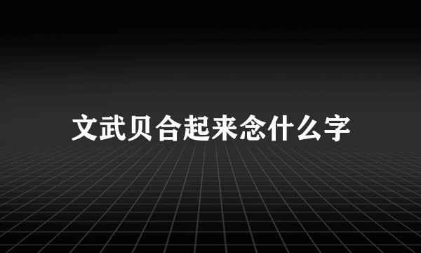 文武贝合起来念什么字