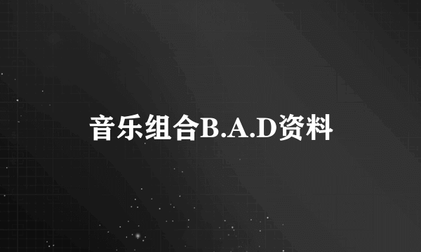 音乐组合B.A.D资料